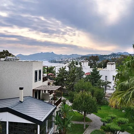 Hotel Dorman 4*