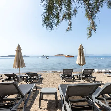 Otel Dorman Bitez