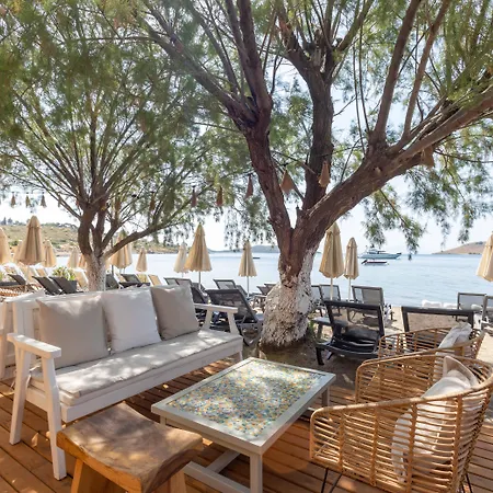 Отель Dorman 3*