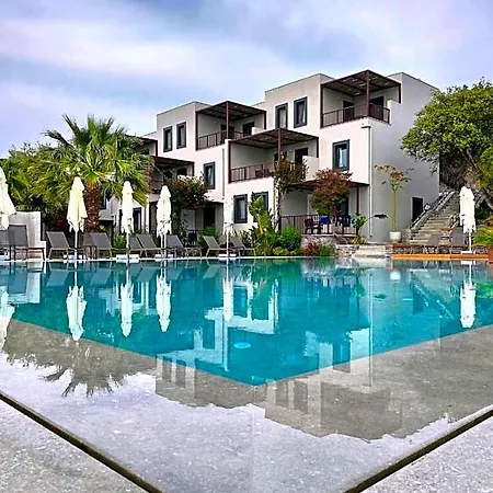 Dorman 3*